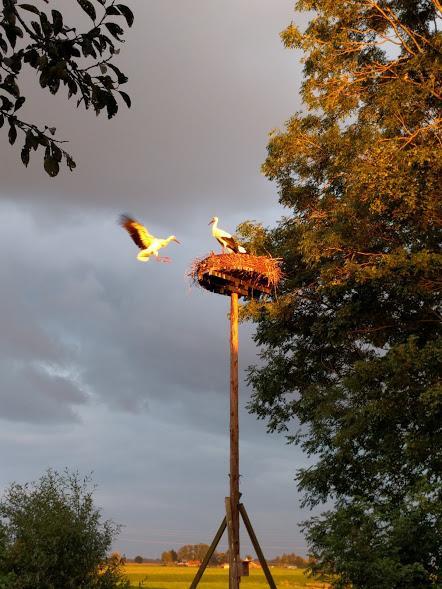 Achterhuis Hamingen Staphorst Kültér fotó